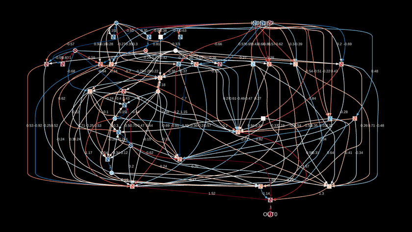 A screenshot of a computational graph pruned from a RNN.  There are many nodes and tons of overlapping edges giving it a very complex and impossible to follow structure.