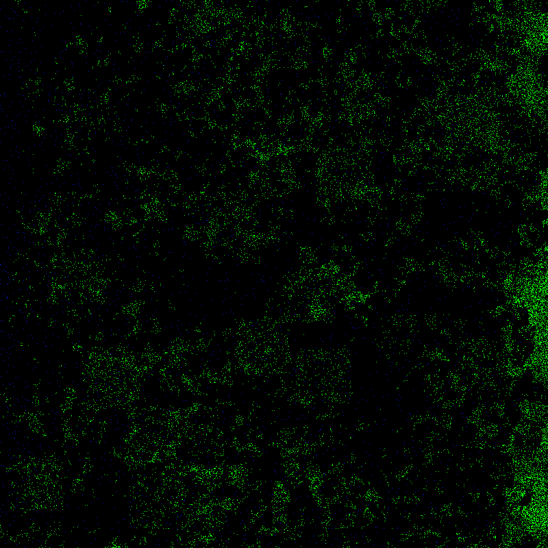 A Minutiae simulation of fish showing blue pixels (fish) and green pixels which they seek out and consume (food).