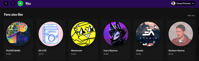 A screenshot of the Spotify app UI showing the "Fans also like" section for the artist Rkz